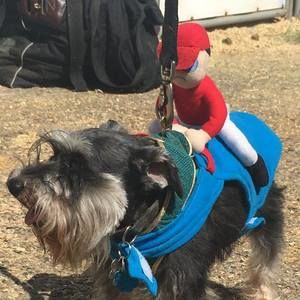 Meet your Posher, Tami